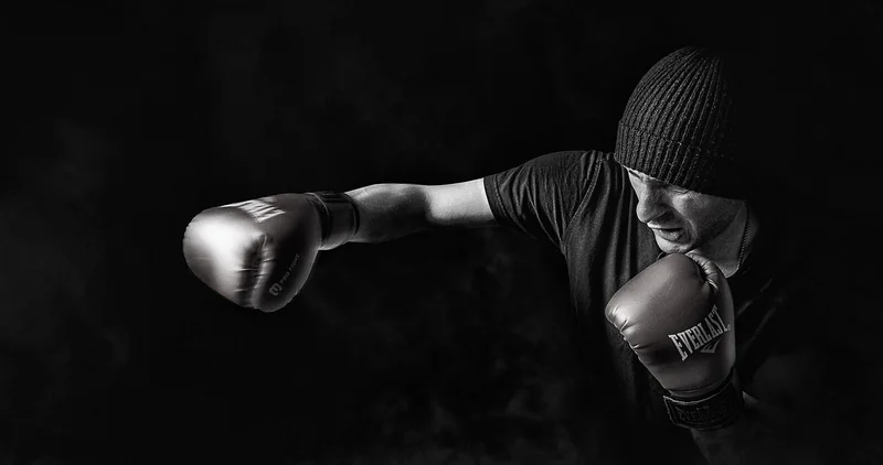 Développer les talents en interne : le secret des PME qui durent